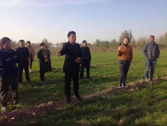 強征土地的應(yīng)對策略有哪些？