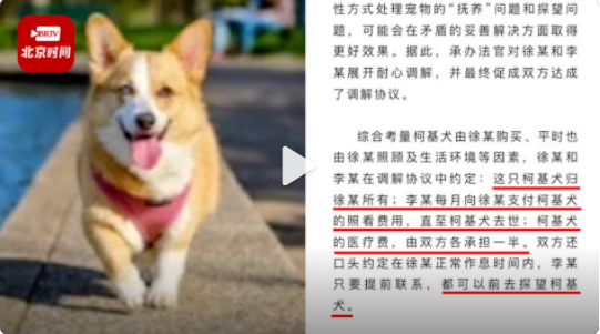 夫妻離婚不爭(zhēng)車房只爭(zhēng)寵物狗，法院這份判決有新意！