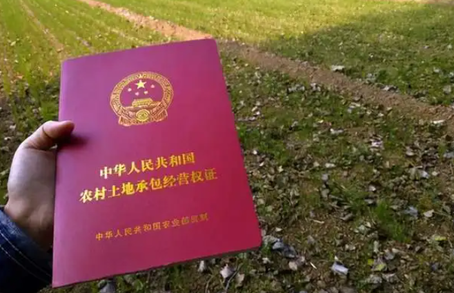 土地確權(quán)離婚時(shí)怎么解決?