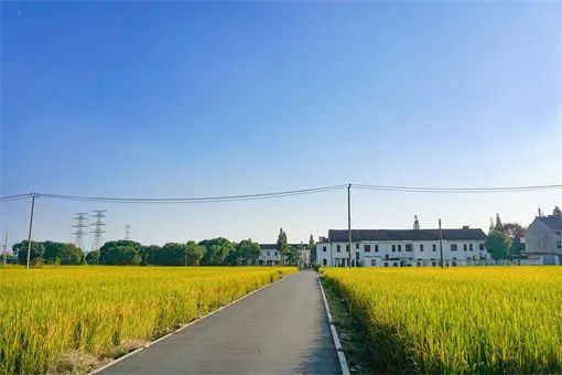 “一地二包”，誰最終有權獲得？